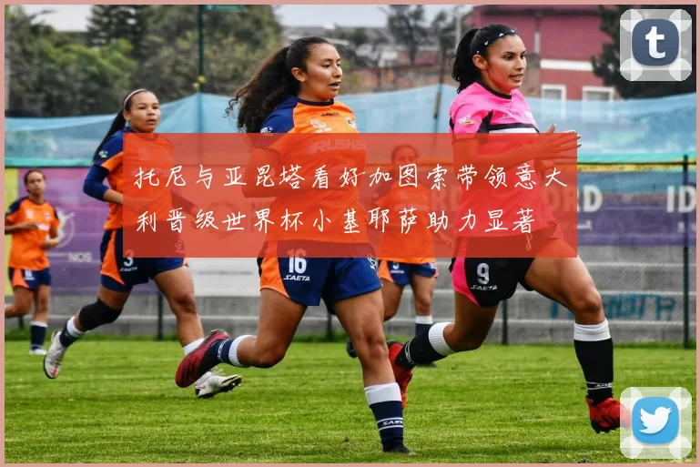 托尼与亚昆塔看好加图索带领意大利晋级世界杯小基耶萨助力显著