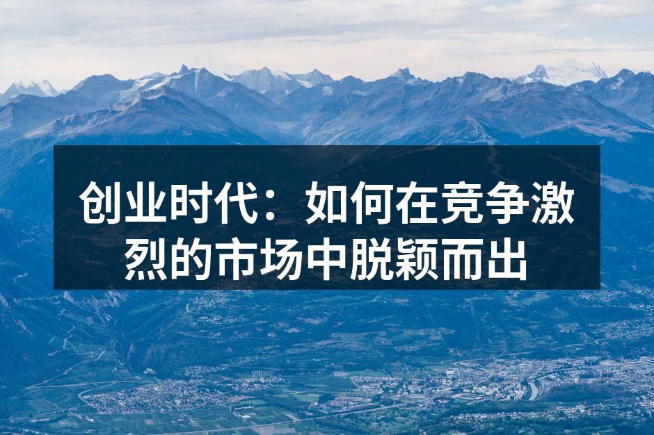 创业时代：如何在竞争激烈的市场中脱颖而出